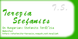 terezia stefanits business card